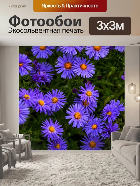 Фотообои Блоссом цветник природа