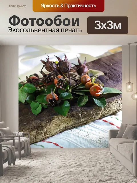 Фотообои апельсин и сушеные плоды шиповника с лис
