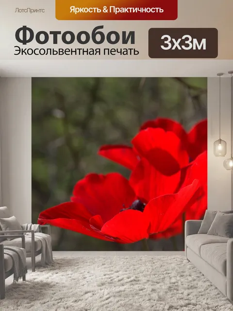 Фотообои Красные анемоны с колючим фоном