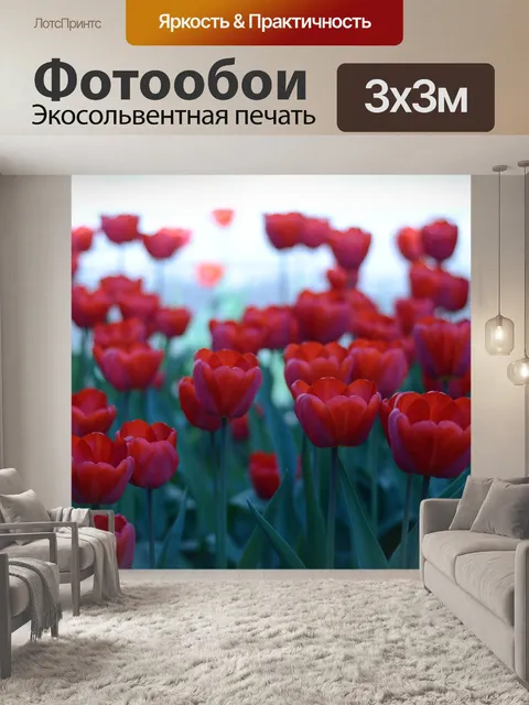 Фотообои Цветы
