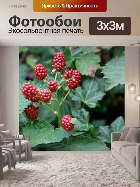 Фотообои Природа