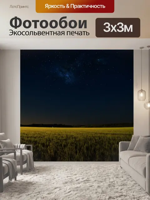 Фотообои поле, прохладное и тёмное в тихую ночь, с видимыми звездами и мягким светом