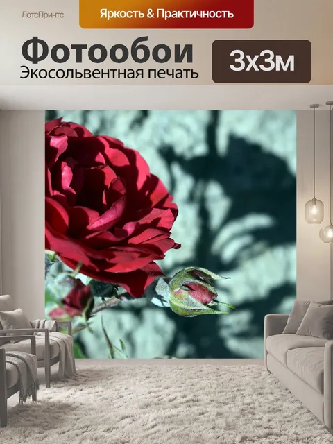Фотообои Цветы