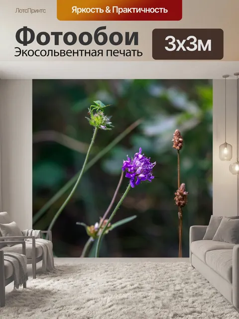 Фотообои лес
