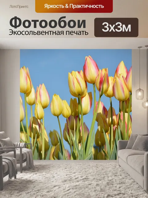 Фотообои Тюльпаны