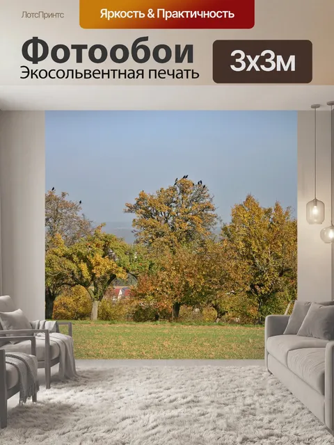 Фотообои Дерево