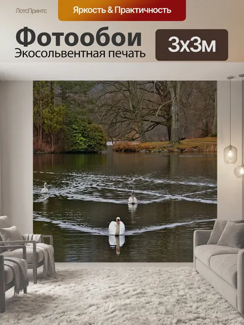 Фотообои Лебеди