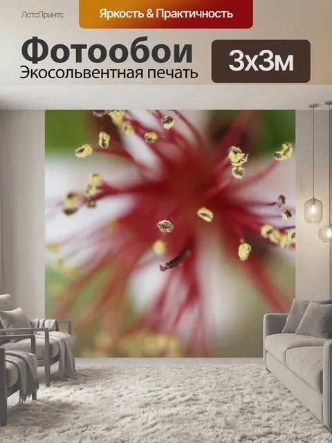 Фотообои Цветок