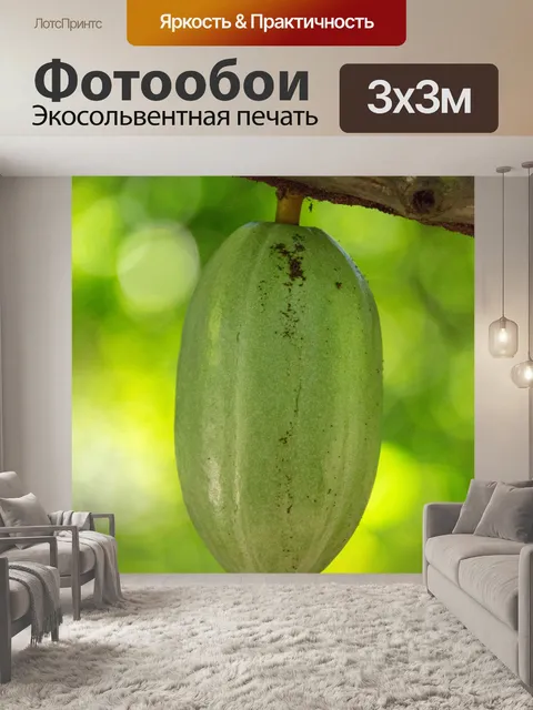 Фотообои Растущие какао-бобы