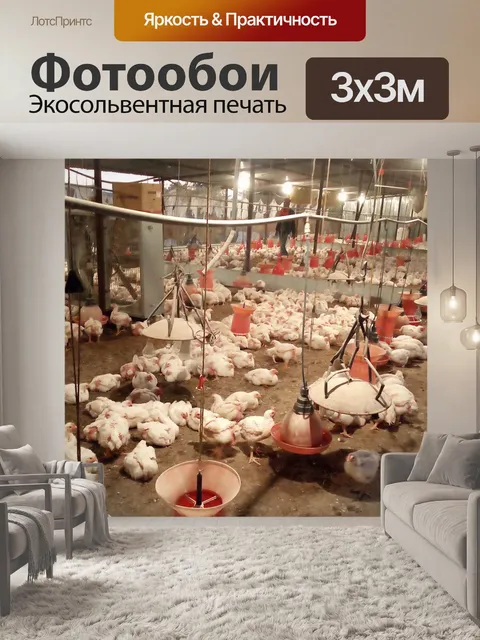 Фотообои Птицы