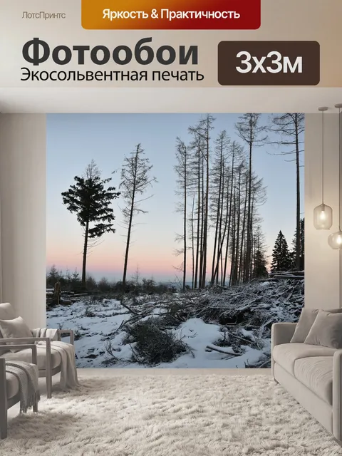 Фотообои Поля