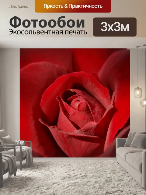 Фотообои Роза