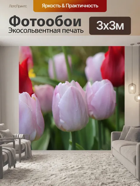 Фотообои Тюльпаны