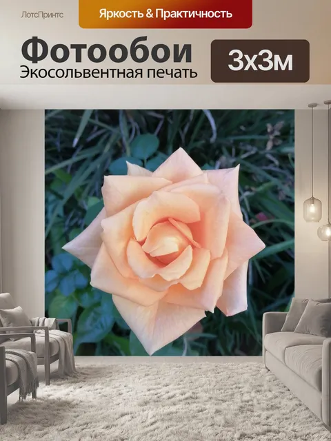 Фотообои Роза