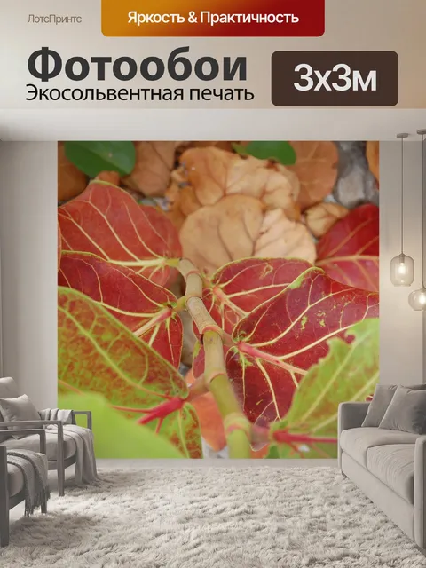 Фотообои Листья