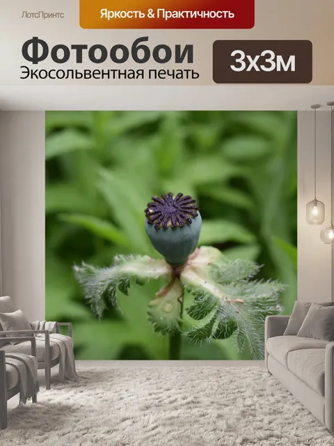 Фотообои Мака