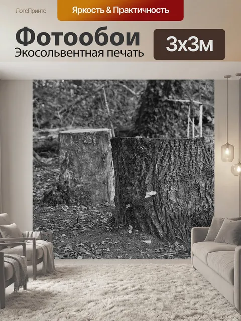 Фотообои Рубка дров в лесу
