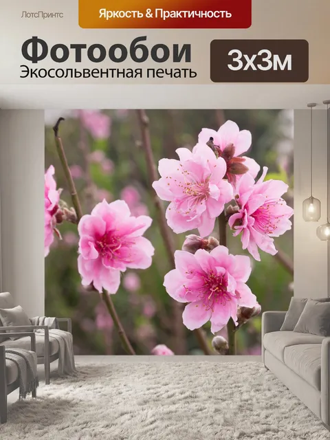 Фотообои Персик