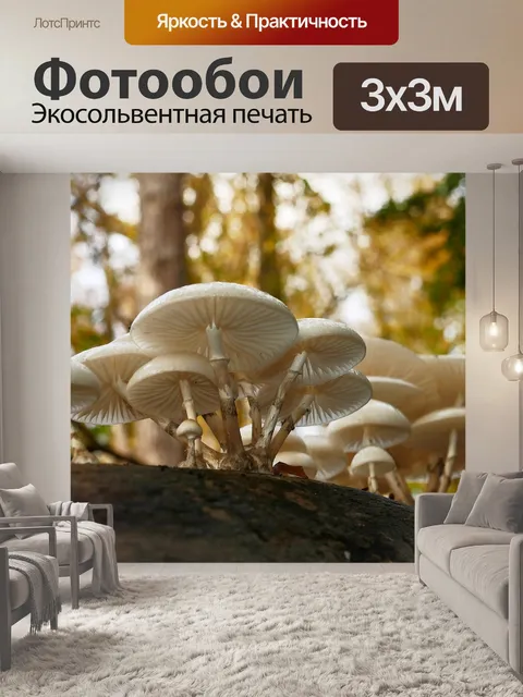 Фотообои Гриб
