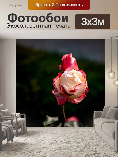 Фотообои Розы
