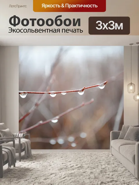 Фотообои Лес