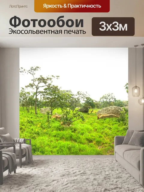 Фотообои Сиам тюльпан цветок Па Хин Нгам