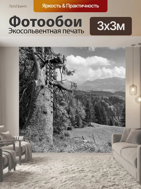 Фотообои Черно-белый