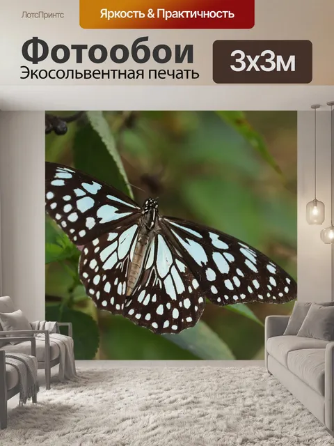 Фотообои Бабочка