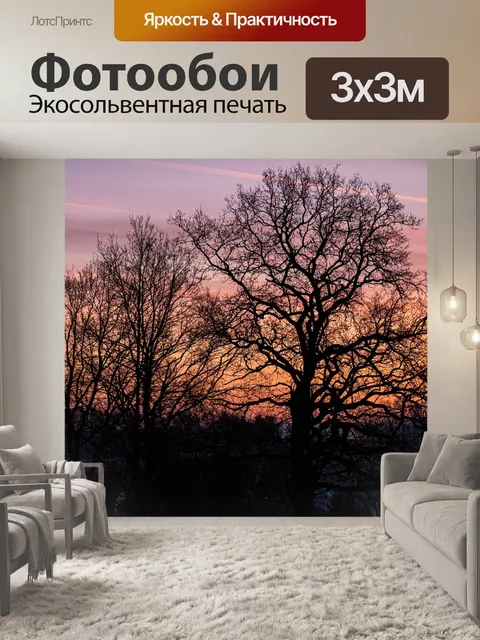 Фотообои Рассвет