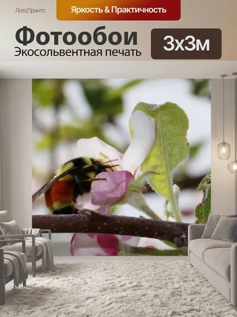 Фотообои яблоня