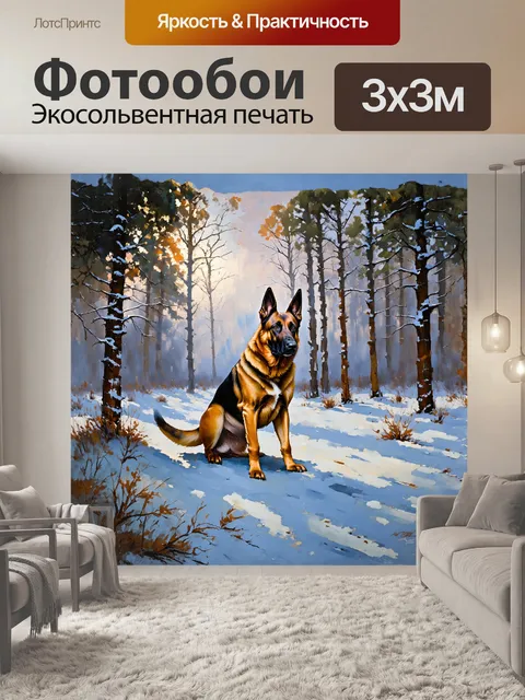 Фотообои бельгийская овчарка малинуа в зимнем пейзаже