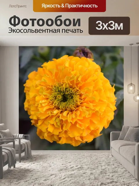 Фотообои Цветы