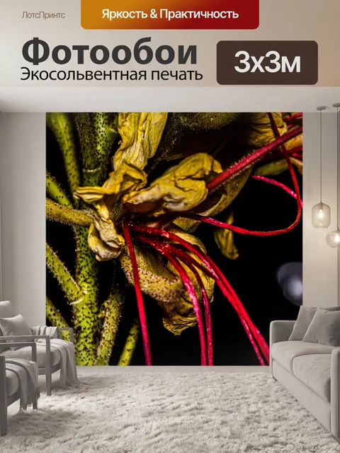 Фотообои Цветы