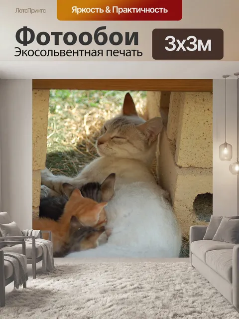 Фотообои Млекопитающее