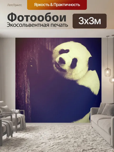 Фотообои Гигантская панда