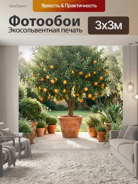 Фотообои Апельсиновое дерево в саду