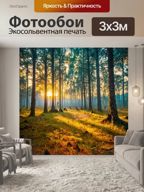 Фотообои лес с мечтательной атмосферой подхода к закату и активности животных