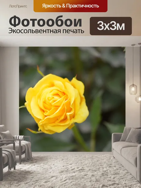 Фотообои Розы