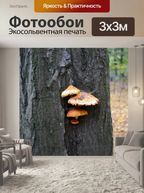 Фотообои Дерево