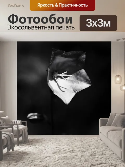 Фотообои Цветок