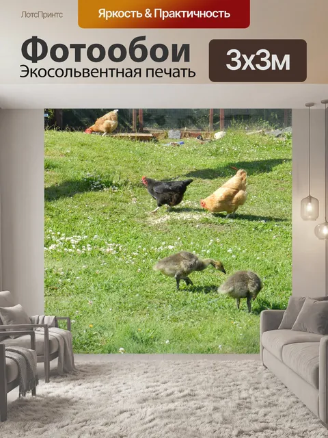 Фотообои Дрофы и куры 2