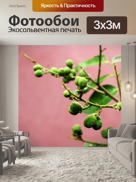 Фотообои Фрукты