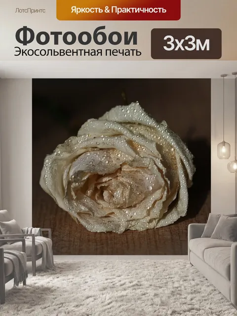 Фотообои Роза