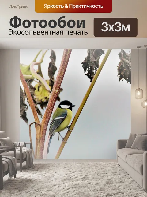 Фотообои Большая синица