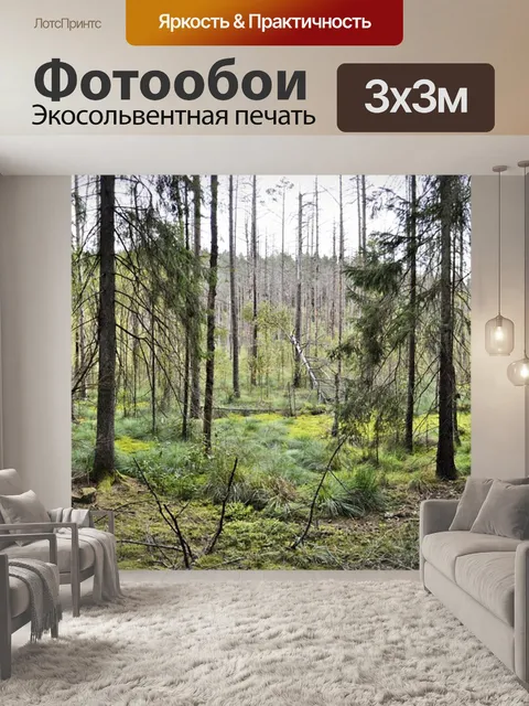 Фотообои Лес природа