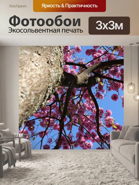 Фотообои Деревья
