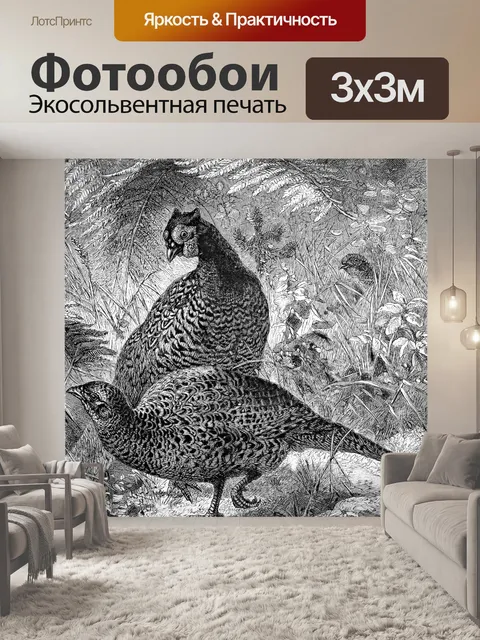 Фотообои Фазан