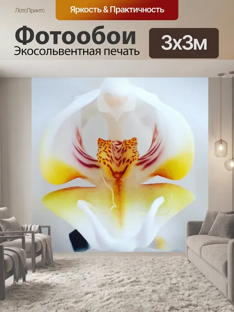 Фотообои Цветок