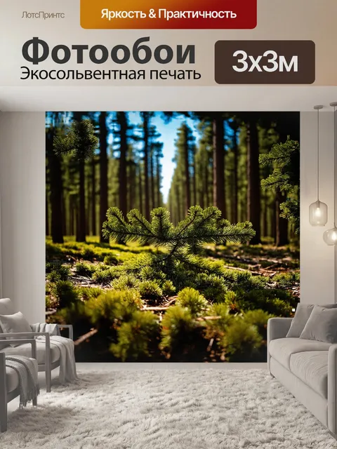 Фотообои широкий кадр соснового леса