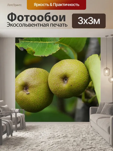 Фотообои Каменный корабль